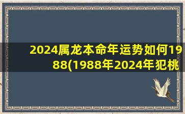 2024属龙本命年运势如何1988(1988年2024年犯桃花吗)