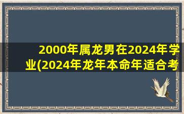 2000年属龙男在2024年学业