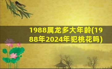 1988属龙多大年龄(1988年2024年犯桃花吗)