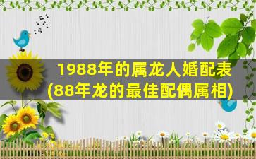 <strong>1988年的属龙人婚配表(</strong>