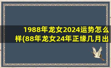 1988年龙女2024运势怎么样