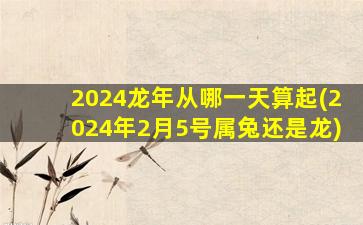 2024龙年从哪一天算起(2024年2月5号属兔还是龙)