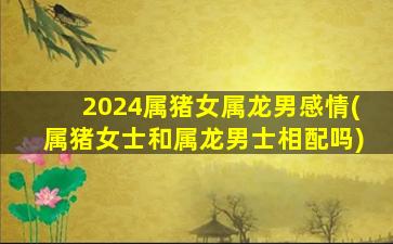 2024属猪女属龙男感情(属