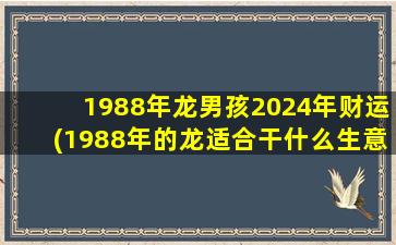 1988年龙男孩2024年财运(1988年的龙适合干什么生意)