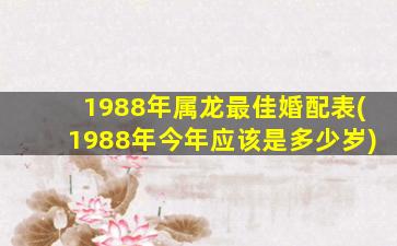 1988年属龙最佳婚配表(