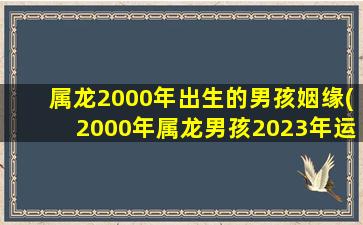 属龙2000年出生的男孩姻缘(2000年属龙男孩2023年运势)