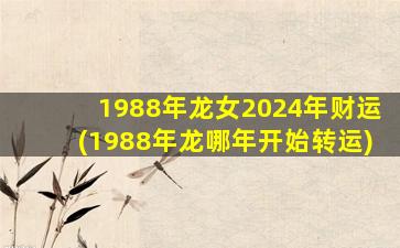 1988年龙女2024年财运(1988年龙哪年开始转运)