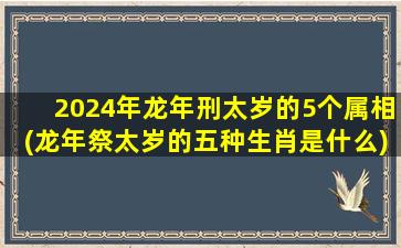 <strong>2024年龙年刑太岁的5个属</strong>