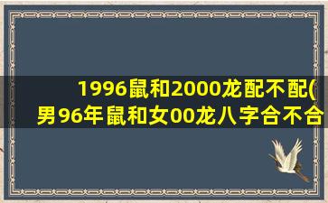 1996鼠和2000龙配不配(男