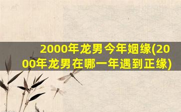 2000年龙男今年姻缘(200