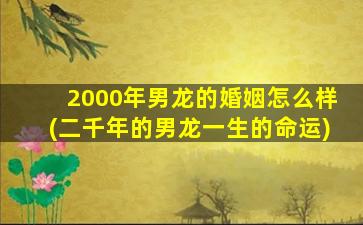 <strong>2000年男龙的婚姻怎么样</strong>