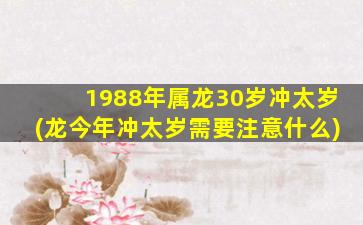 1988年属龙30岁冲太岁(龙