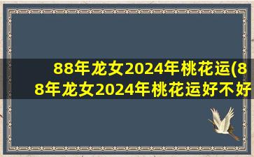 88年龙女2024年桃花运(8