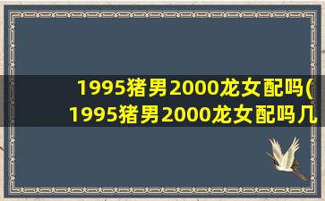 <strong>1995猪男2000龙女配吗(19</strong>