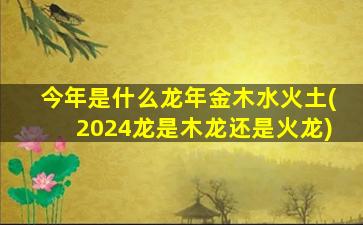 今年是什么龙年金木水火土(2024龙是木龙还是火龙)