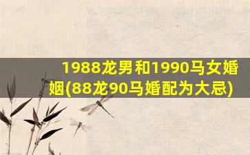 <strong>1988龙男和1990马女婚姻</strong>