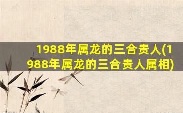 1988年属龙的三合贵人(