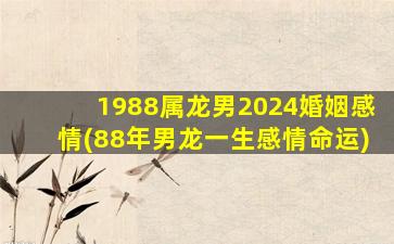 1988属龙男2024婚姻感情(88年男龙一生感情命运)