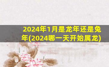 2024年1月是龙年还是兔年(2024哪一天开始属龙)