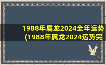 1988年属龙2024全年运势