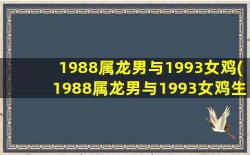 1988属龙男与1993女鸡(1988属龙男与1993女鸡生什么宝宝)