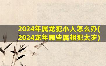 <strong>2024年属龙犯小人怎么办</strong>