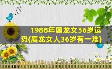 1988年属龙女36岁运势(属