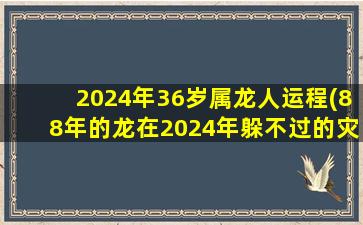 2024年36岁属龙人运程(8