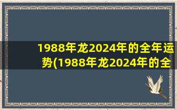 1988年龙2024年的全年运势