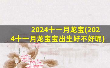 2024十一月龙宝(2024十一月