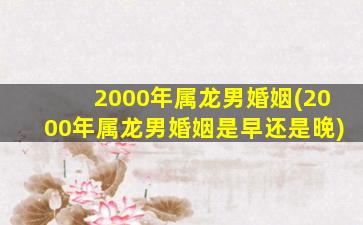 2000年属龙男婚姻(2000年属