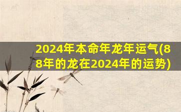 2024年本命年龙年运气(88年的龙在2024年的运势)