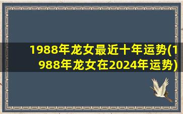 1988年龙女最近十年运势(1988年龙女在2024年运势)