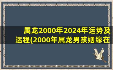 属龙2000年2024年运势及运程(2000年属龙男孩姻缘在哪一年)