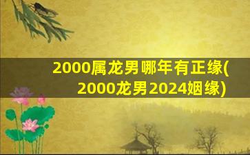 2000属龙男哪年有正缘(