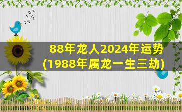 <strong>88年龙人2024年运势(1988年</strong>