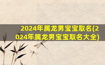 2024年属龙男宝宝取名(2024年属龙男宝宝取名大全)