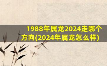 1988年属龙2024走哪个方向(2024年属龙怎么样)