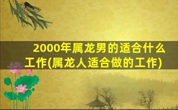 <strong>2000年属龙男的适合什么</strong>