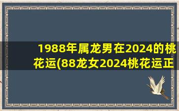 1988年属龙男在2024的桃花运(88龙女2024桃花运正缘)